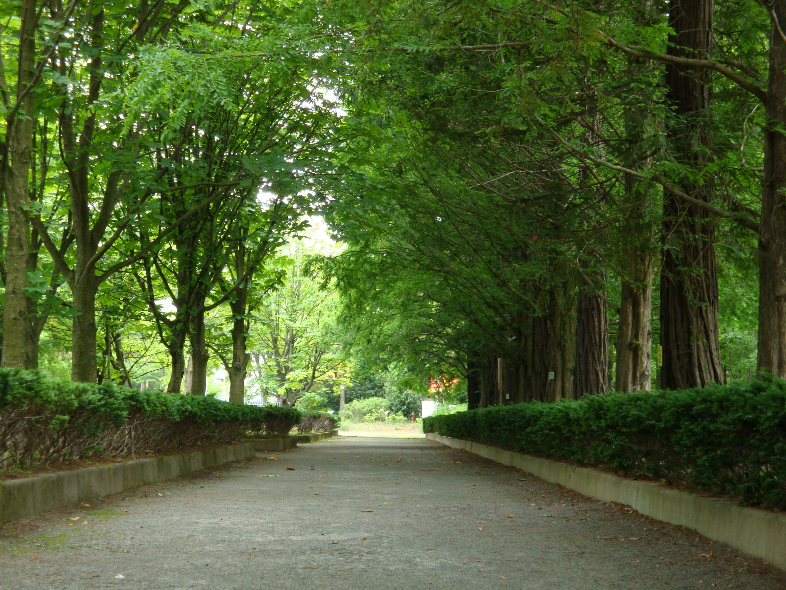 重要 気功を独学で始めたい人 まず知っておくべき ２つの意識 たかっぽのブログ